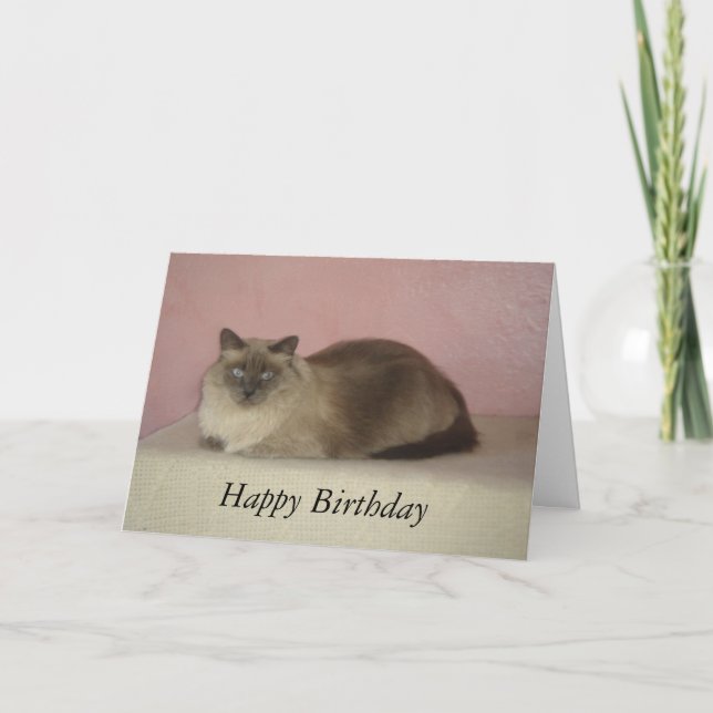 Carte Anniversaire du Meow du chat (Devant)