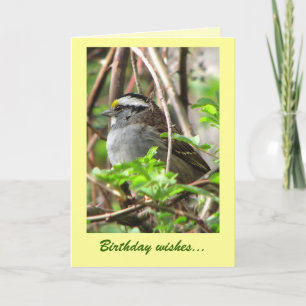 Carte Anniversaire du moineau doux