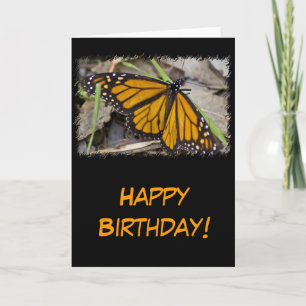 Carte Anniversaire du papillon Monarque