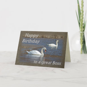 Carte Anniversaire du patron - Cygne muet sur étang d'hi