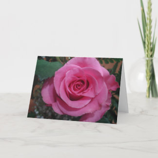 Carte Anniversaire d'une série de roses roses mortes1