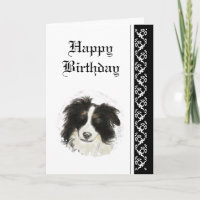 Anniversaire Élégant, Bordure Collie Chien Animal