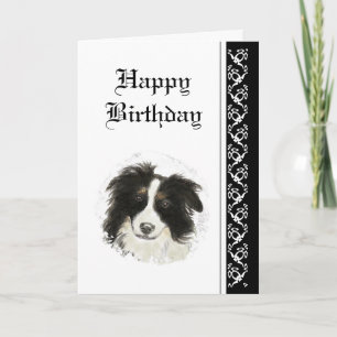 Carte Anniversaire Élégant, Bordure Collie Chien Animal
