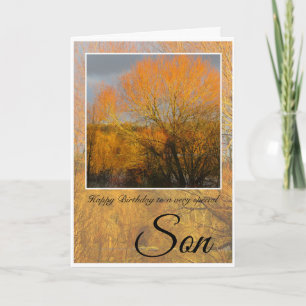 Carte Anniversaire, Fils Spécial, Arbres D'Hiver Ensolei