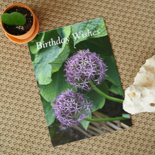 Carte Anniversaire floral de l'Allium mauve
