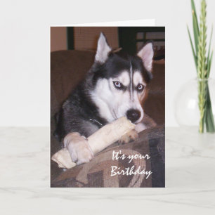 Carte Anniversaire Fun Husky Remplir la journée