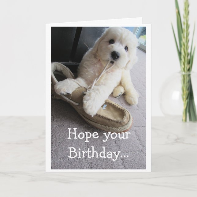 Carte Anniversaire Fuzzy Chaud, Humour petit Goldendoodl (Devant)