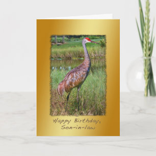 Carte Anniversaire, gendre, Grue de Sandhill Bird