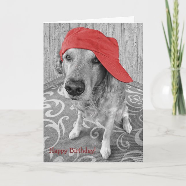 Carte Anniversaire Golden Retriever (Devant)
