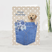 Anniversaire Golden Retriever À Jean Pocket