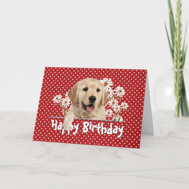 Carte Anniversaire Golden Retriever en Pois (Devant)