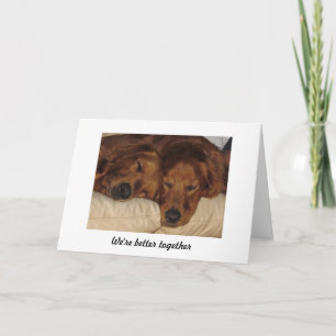 Carte Anniversaire Golden Retriever, Mieux Ensembl