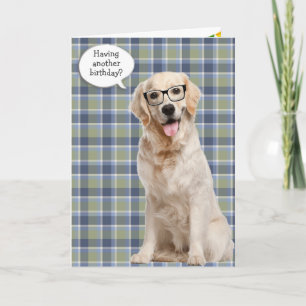 Carte Anniversaire Golden Retriever Sur Plaid