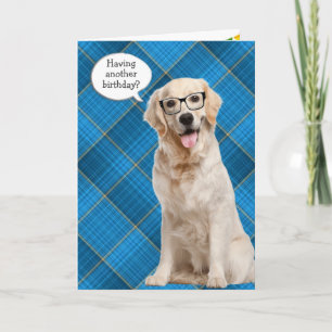 Carte Anniversaire Golden Retriever Sur Plaid