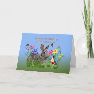 Carte Anniversaire, Grand-neveu, Lapin, Papillons, Robin
