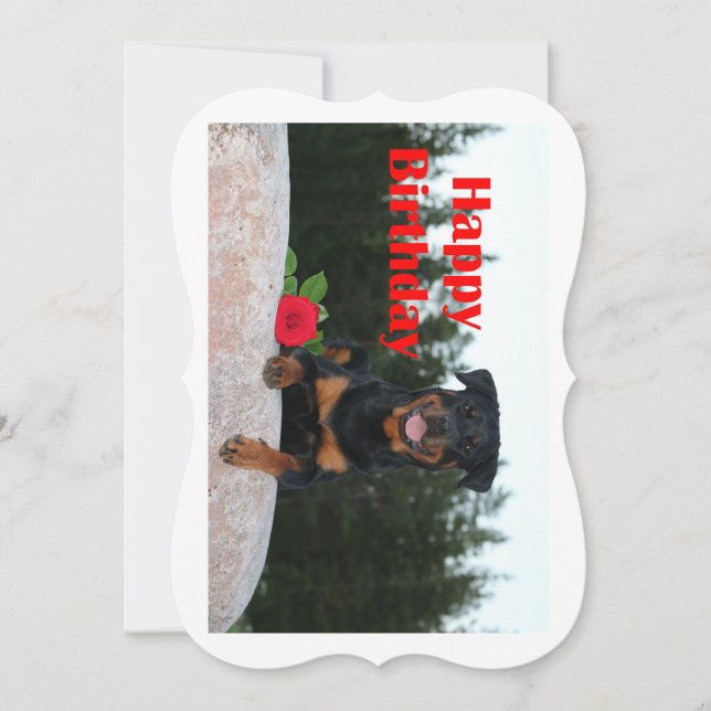 Carte anniversaire heureux de rottweiler (Devant)