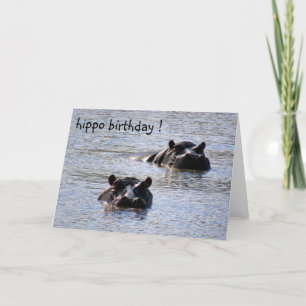 Carte anniversaire hippo