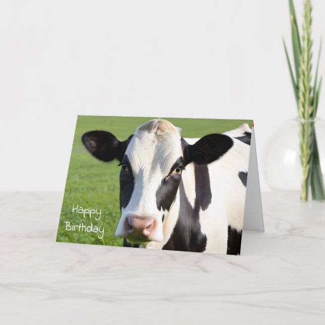 Carte Anniversaire Holstein Humour de vache (Devant)