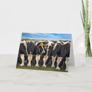 Carte Anniversaire Holstein Vaches pâturage