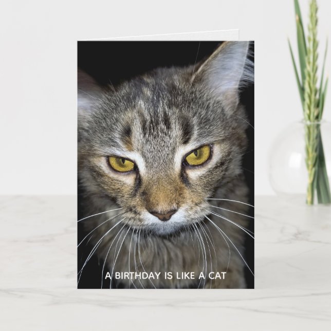 Carte anniversaire humoristique de chat (Devant)