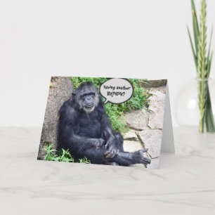 Carte Anniversaire humoristique de chimpanzé