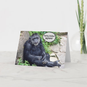Carte Anniversaire humoristique du Chimpanzé