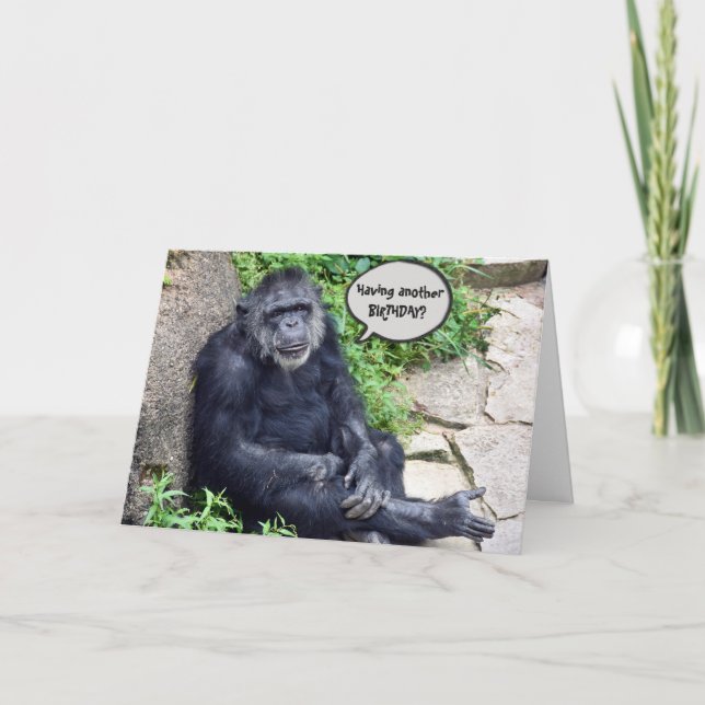 Carte Anniversaire humoristique du Chimpanzé (Devant)
