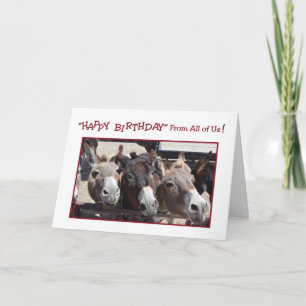 Carte Anniversaire Humoristique du groupe Donkey, de nou