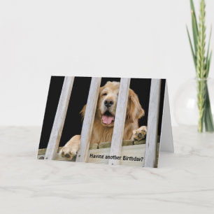 Carte Anniversaire humoristique Golden Retriever