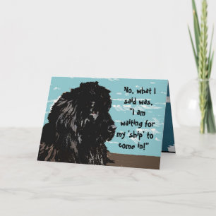 Carte anniversaire - Humour de Terre-Neuve