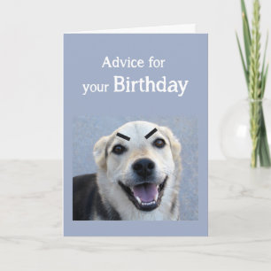 Carte Anniversaire Humour mignon Chien Fondu Vue Se maqu