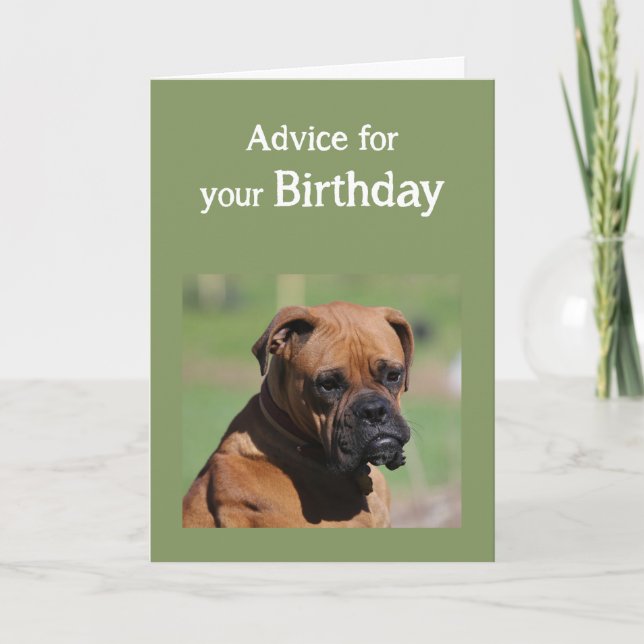 Carte Anniversaire Humour mignon Chien plus âgé doit êtr (Devant)