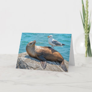 Carte Anniversaire Humour Mouette perchée sur un lion de
