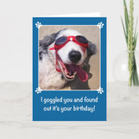 Anniversaire - I Goggled vous - chien de berger