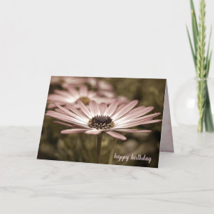Carte Anniversaire Macro Rose Daisy