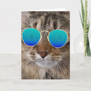 Carte Anniversaire Maine Chat Coon En Lunettes De Soleil