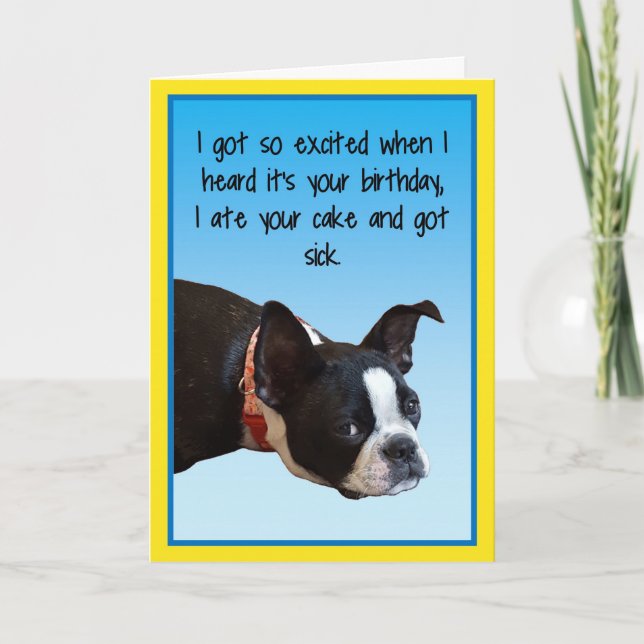 Carte Anniversaire malade Boston (Devant)