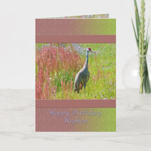 Carte Anniversaire, Nephew, Grue de Sandhill