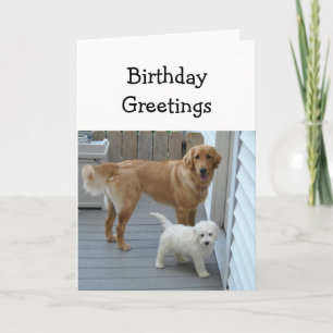 Carte Anniversaire Nous deux Drôle Golden Retriever