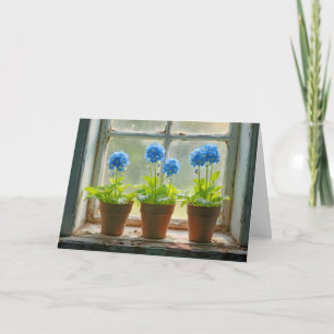 Carte Anniversaire Oubliez-Moi-Pas-Fleurs Pots