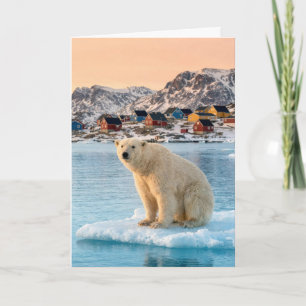 Carte Anniversaire Ours Polaire du Groenland Flottant su