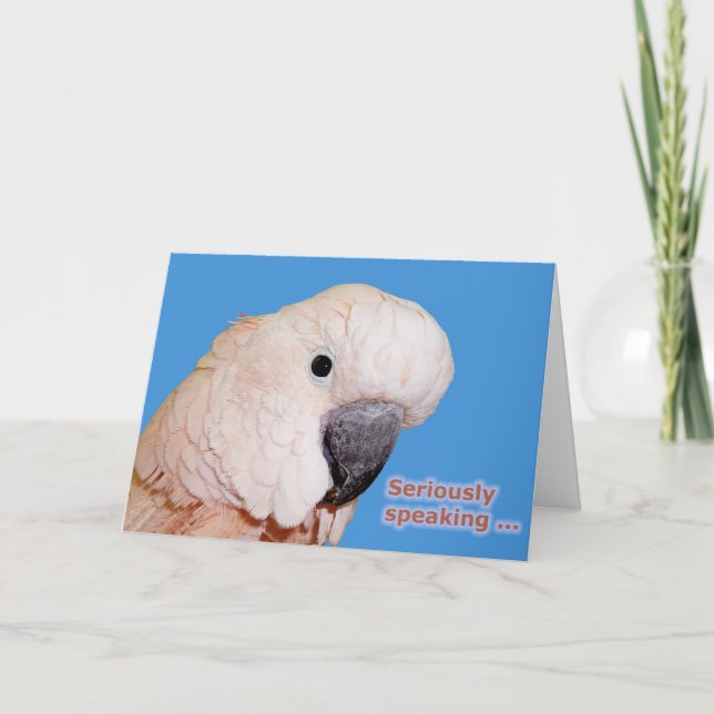 Carte Anniversaire parlant sérieusement (Devant)