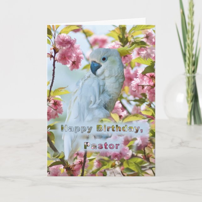 Carte Anniversaire, pasteur, perroquet blanc dans (Devant)