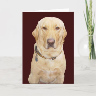 Carte Anniversaire personnalisable