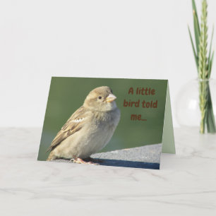 Carte Anniversaire Petit Oiseau M'A Dit Nature Mignonne 