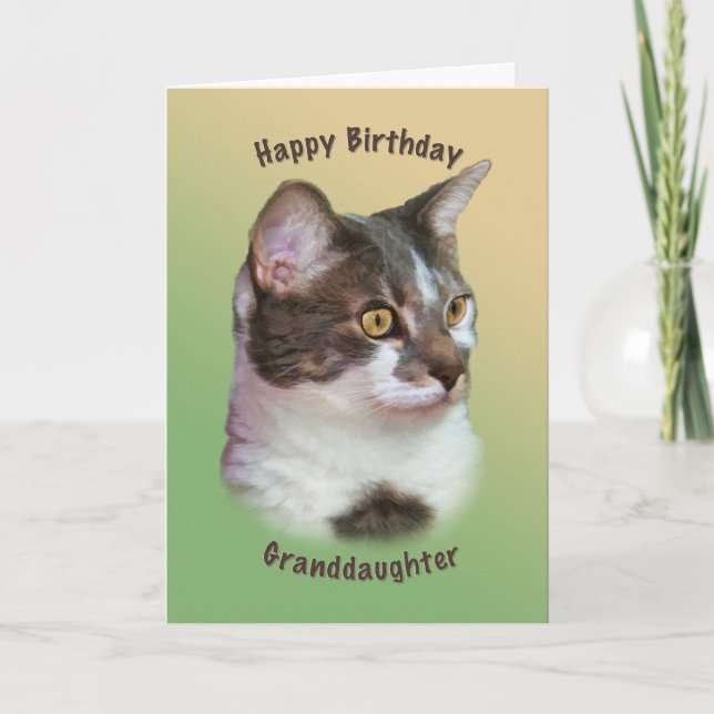 Carte Anniversaire, Petite-fille, Chat aux yeux dorés, C (Devant)