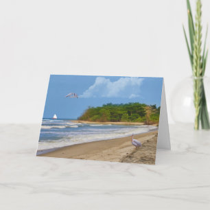 Carte Anniversaire, plage tropicale, oiseaux