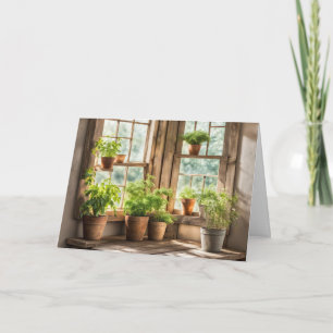 Carte Anniversaire Plantes Posés Dans Une Fenêtre Ensole