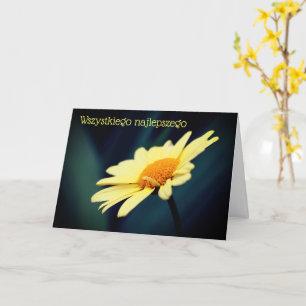 Carte Anniversaire polonais Sto Lat Daisy Flower 