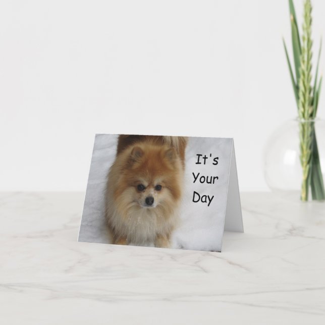 CARTE ANNIVERSAIRE POMERANIEN REMERCIE (Devant)